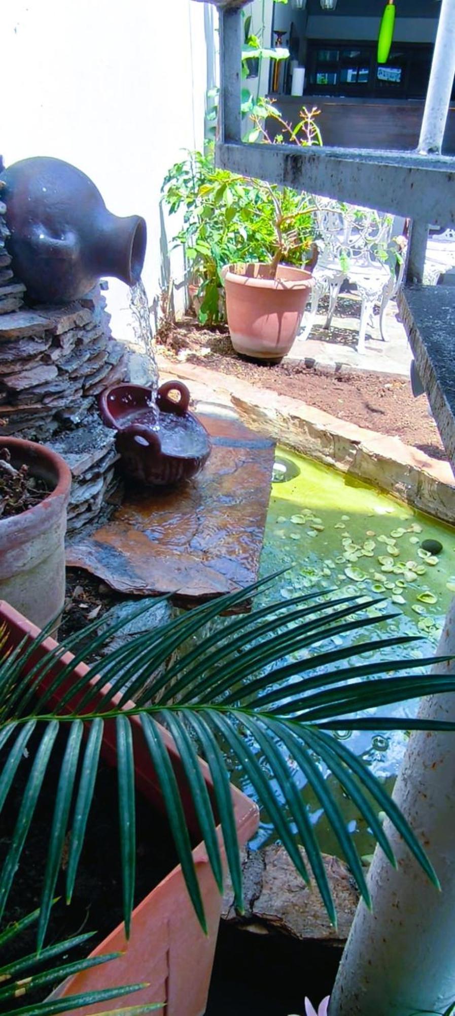 Tazumal House Hotel